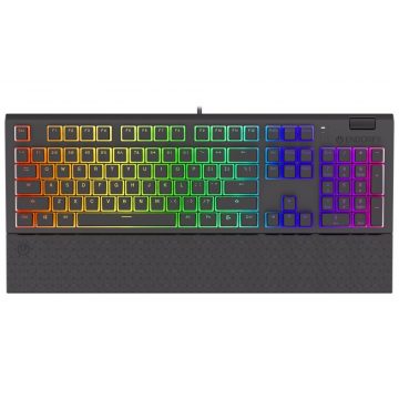   Endorfy gaming tipkovnica Omnis Pudd.Kailh BL RGB /USB/ plavi prekidač / žičano / mehaničko / US raspored / crni RGB