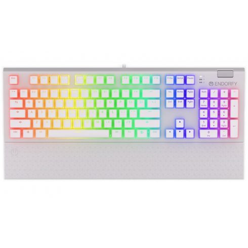 Endorfy gaming tipkovnica Omnis OWH Pudd.Kailh BL RGB / USB / plavi prekidač / žičano / mehaničko / US raspored / bijeli RGB