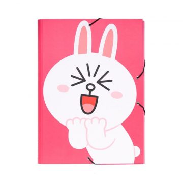 LINE FRIENDS - Mapa Cony (24 x 34 cm)