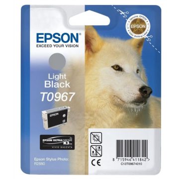   Epson tintni uložak/ C13T09674010/ Stylus 2880/ Svijetlo crna